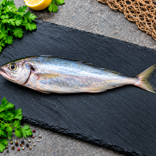 Bombay Duck