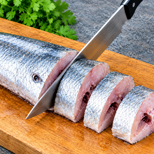 Ribbon Fish - Image 2