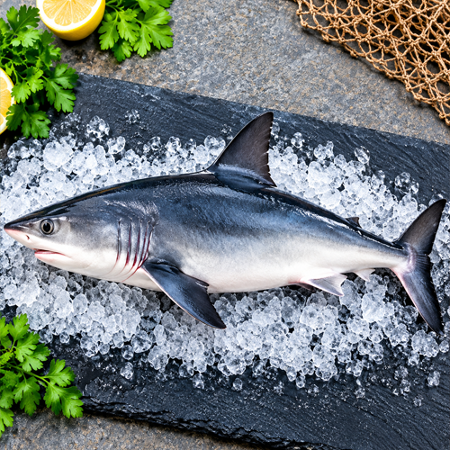 Shark (Sorra)