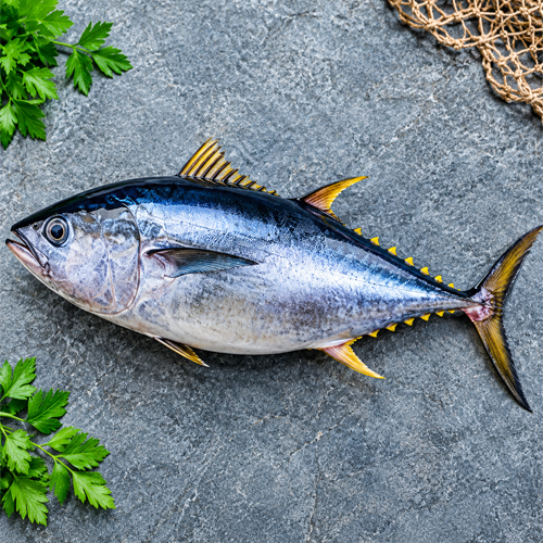 Tuna